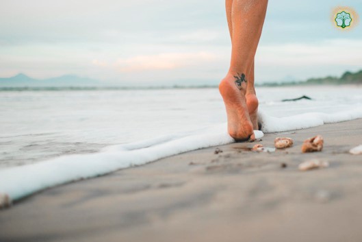 Sesión de constelaciones del Self Enero